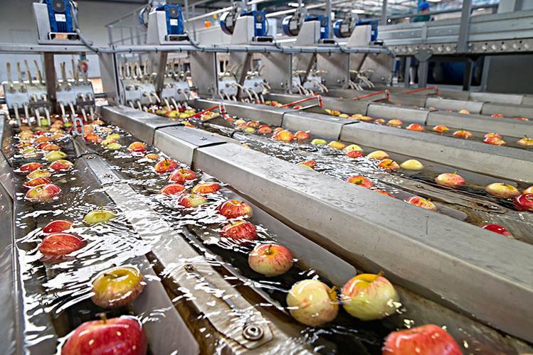 英國食品f695消泡劑應用場景展示圖